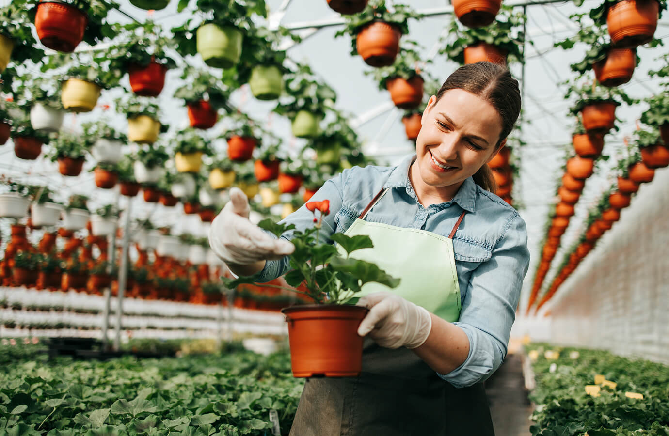 Farmers Seasonal Journey