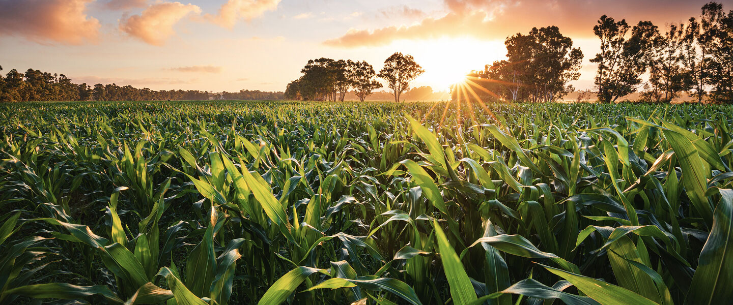Farm Management Service
